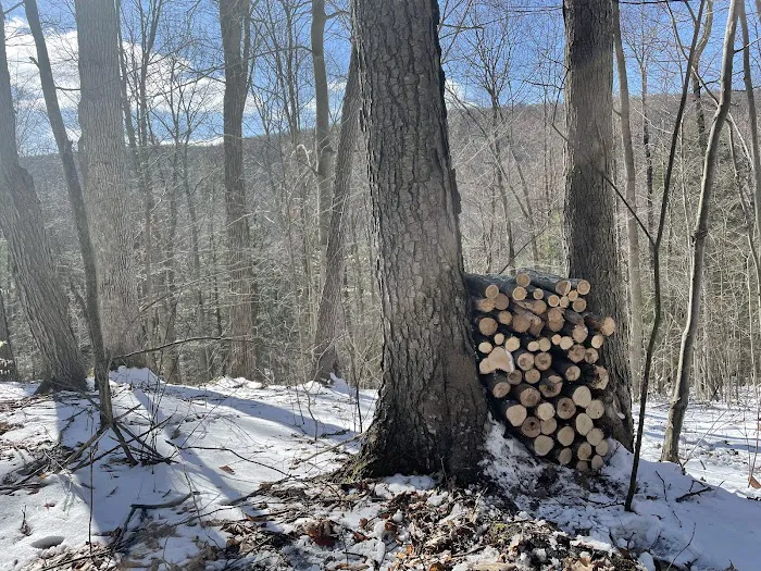 Harpy Hollow Picture 7