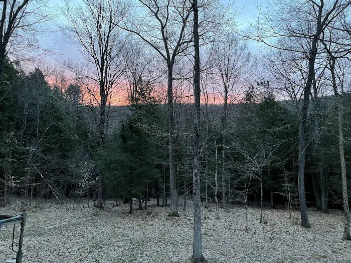 Harpy Hollow Picture 10