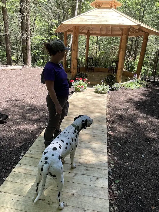 Harpy Hollow Picture 3