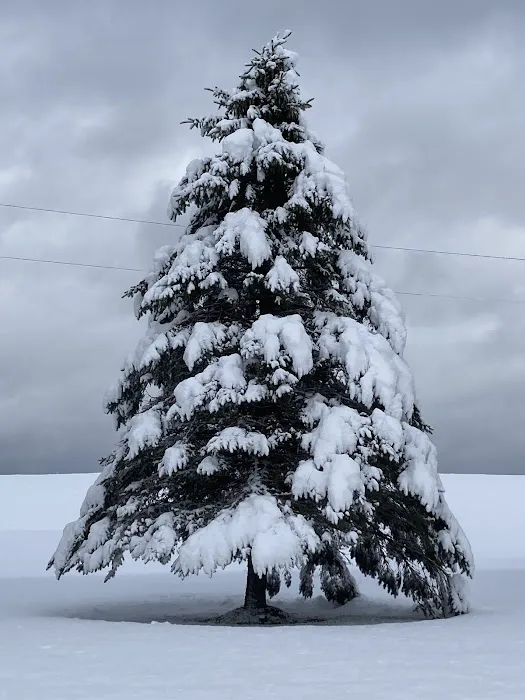 Falling Waters Campground home of Buttermilk Falls Picture 8