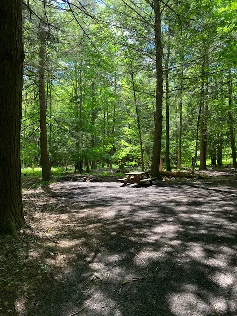 Falling Waters Campground home of Buttermilk Falls Picture 6