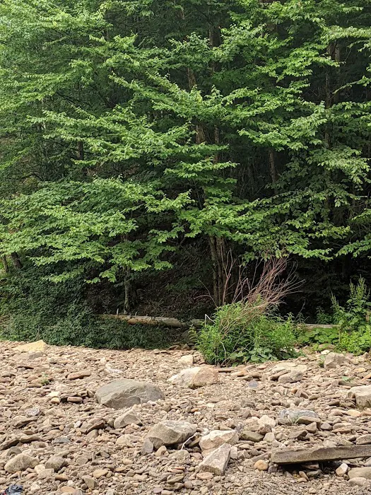 Masten Camping Area Picture 7