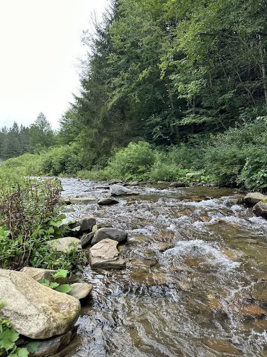 Masten Camping Area Picture 5