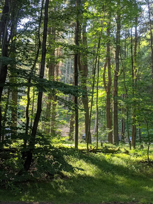 Masten Camping Area Picture 10