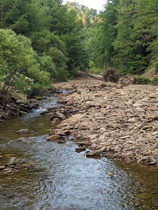 Masten Camping Area Picture 9