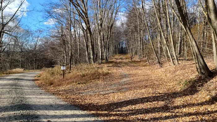 Loyalsock State Forest campsite #360 Picture 2