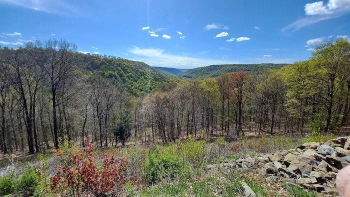 Loyalsock State Forest campsite #360 Picture 1