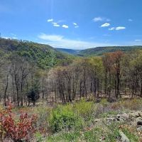 Loyalsock State Forest campsite #360 ico