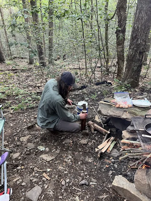 Loyalsock State Forest campsite #360 Picture 4