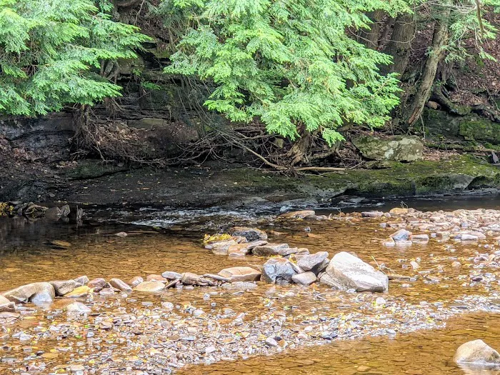 County Bridge Campground Picture 4