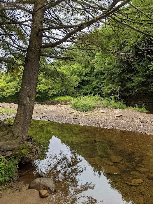 County Bridge Campground Picture 8