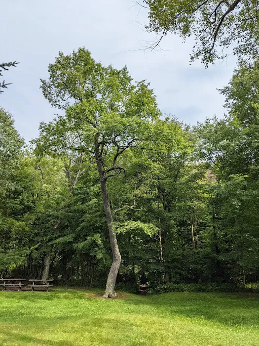 County Bridge Campground Picture 2