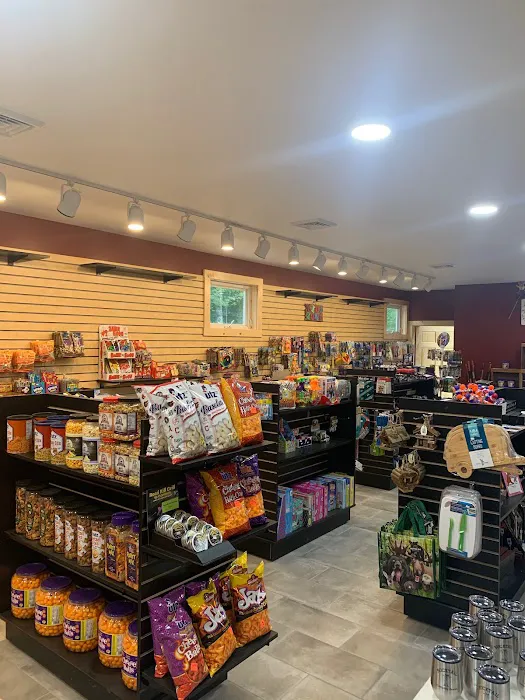 Yogi Bear’s Jellystone Park RV Resort PA Wilds Picture 5