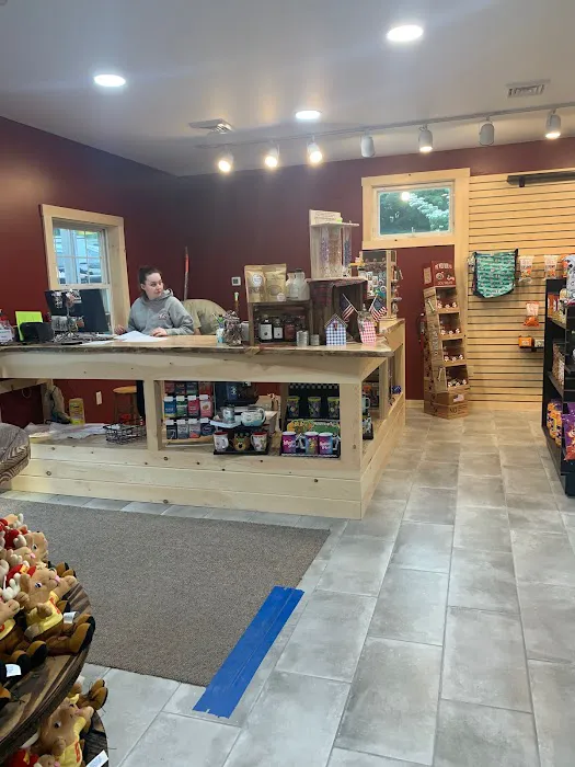 Yogi Bear’s Jellystone Park RV Resort PA Wilds Picture 8