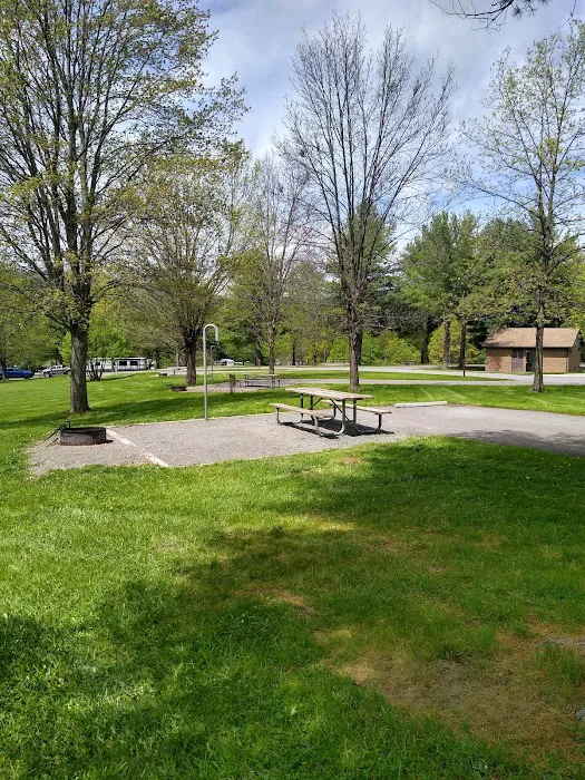 Ives Run Campground Picture 2