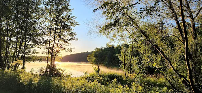 Ives Run Campground Picture 3