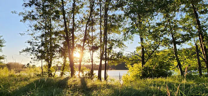 Ives Run Campground Picture 4