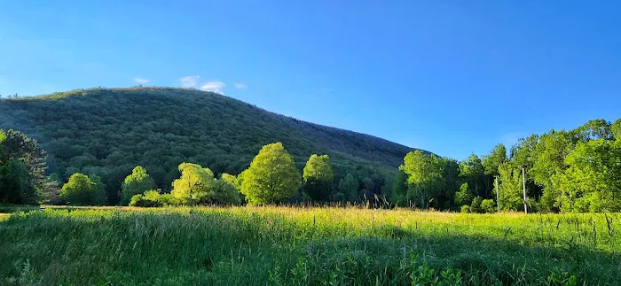 Ives Run Campground Picture 6