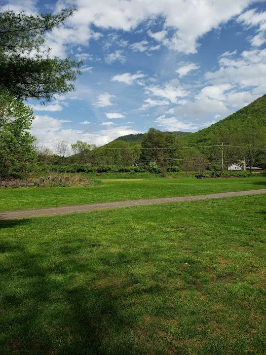 Sheshequin Campground Picture 3