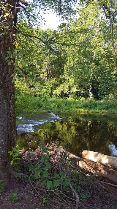 Sheshequin Campground Picture 6