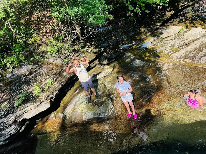 Sheshequin Campground Picture 4