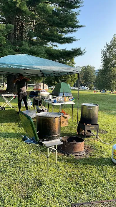 Sheshequin Campground Picture 5