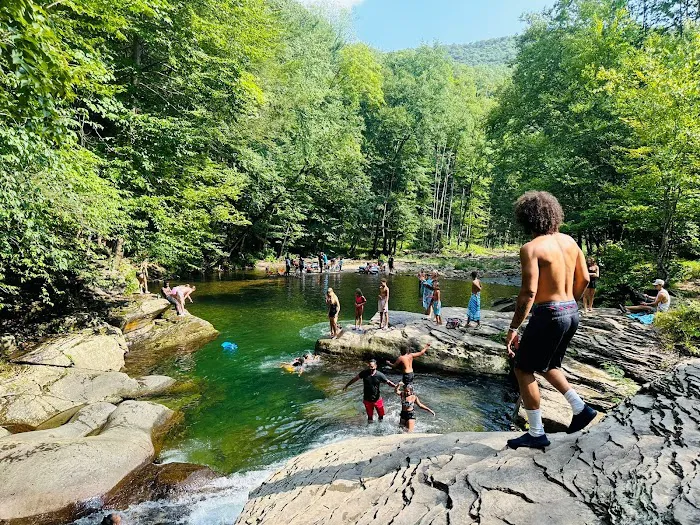 Sheshequin Campground Picture 7