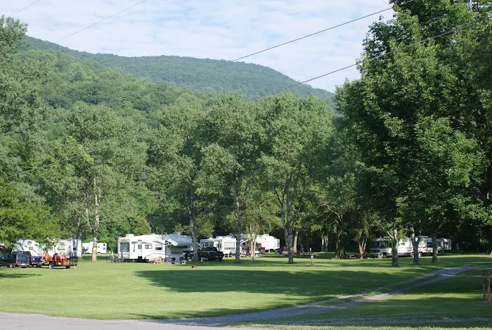 Sheshequin Campground Picture 8