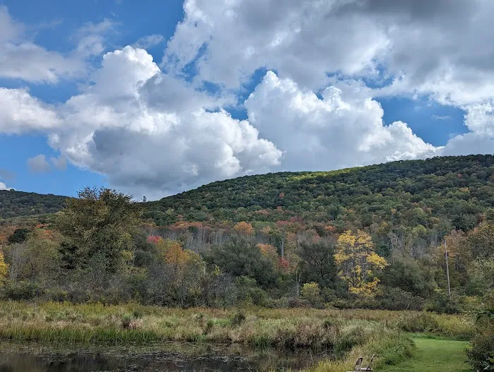 Ferenbaugh Campground Picture 6