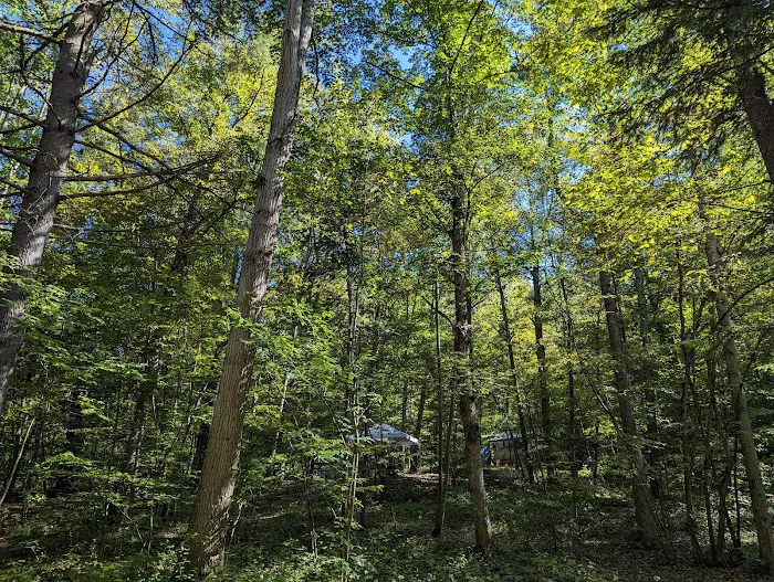 Ferenbaugh Campground Picture 9