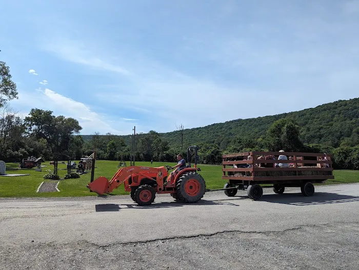 Ferenbaugh Campground Picture 5