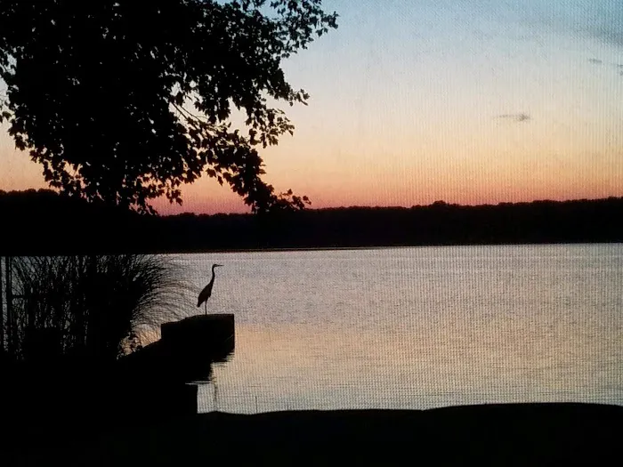 SNA-Z SPOT Picture 6