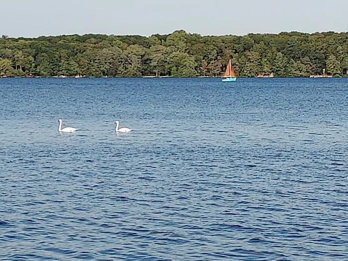 SNA-Z SPOT Picture 8