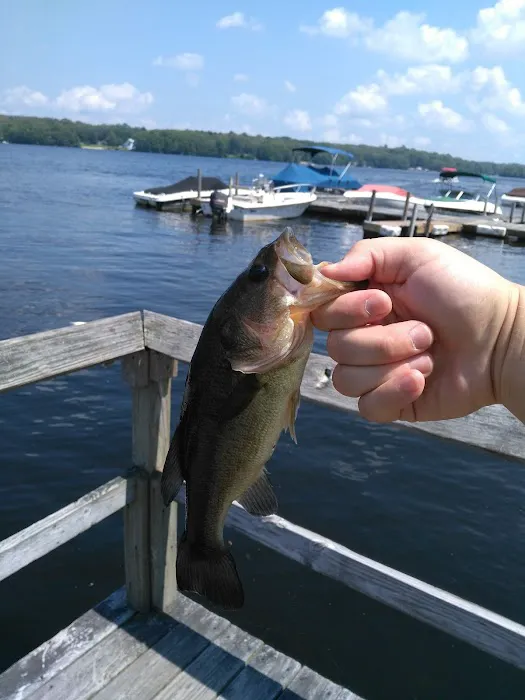 Indianfield Co-Op Campground Picture 6