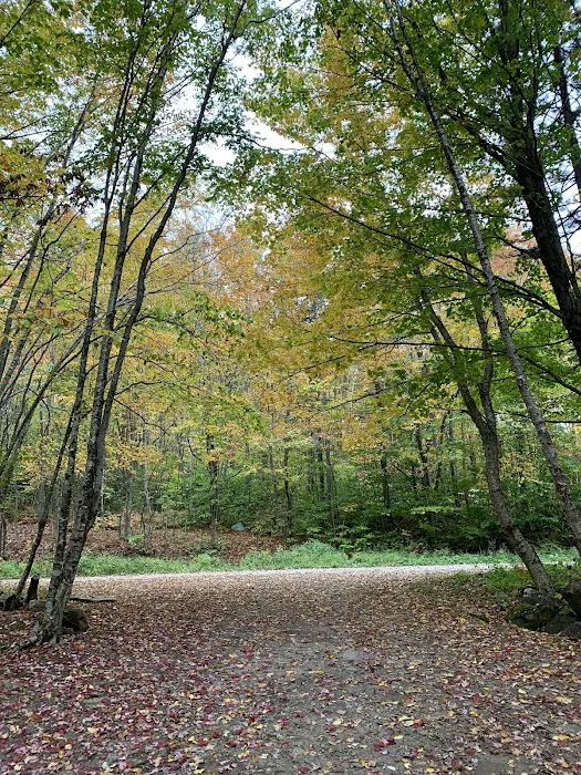Camp Kelly Campground Picture 2