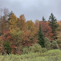 Camp Kelly Campground ico