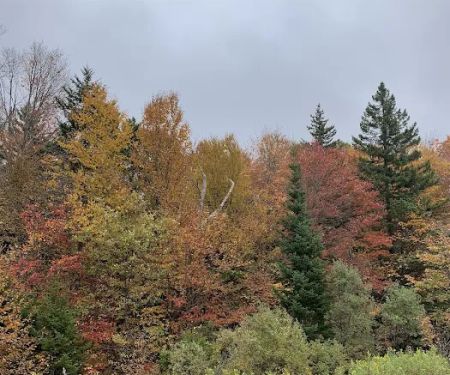 Camp Kelly Campground