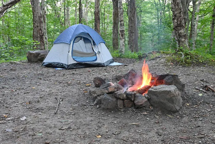 Camp Kelly Campground Picture 7