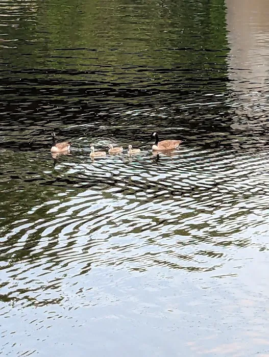 Schuyler Yacht Basin Picture 5