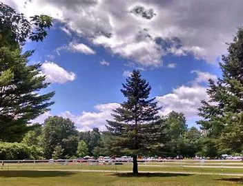 Coldbrook Resort Campground Picture 5