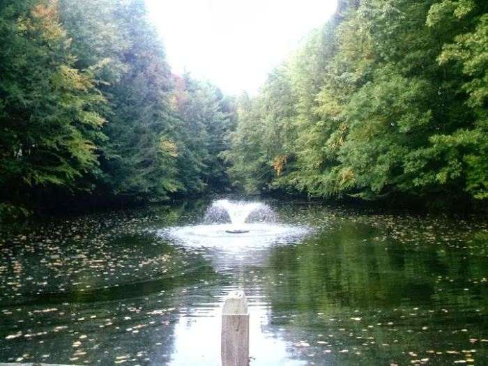 Coldbrook Resort Campground Picture 10