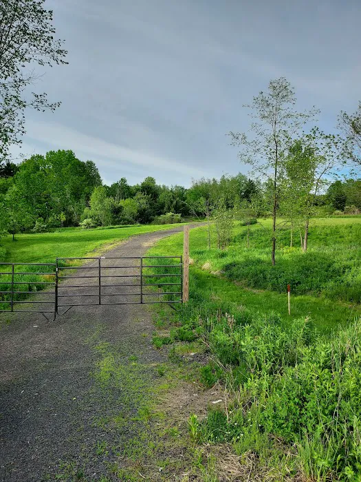 The Unique Nook Picture 1