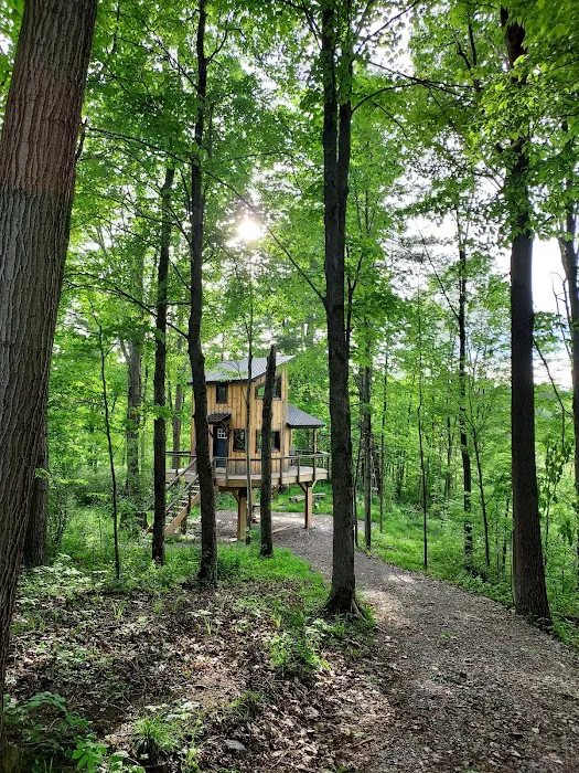 The Unique Nook Picture 3