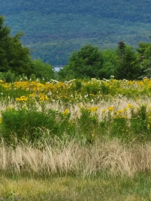 Grateful Acres Vermont Picture 2
