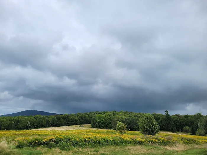 Grateful Acres Vermont Picture 5