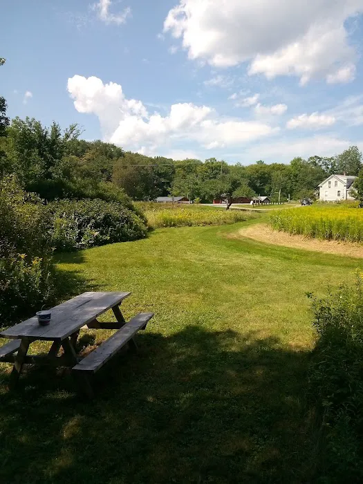 Gus's Gardens Camping Picture 9