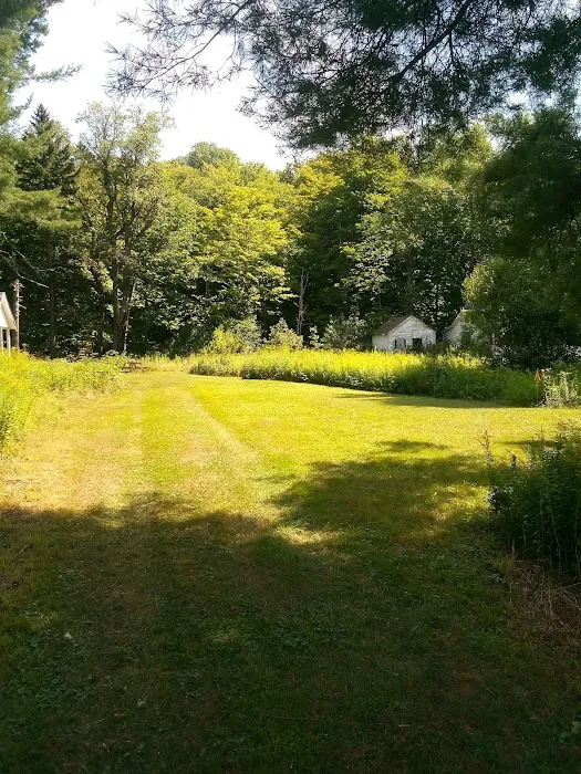 Gus's Gardens Camping Picture 10