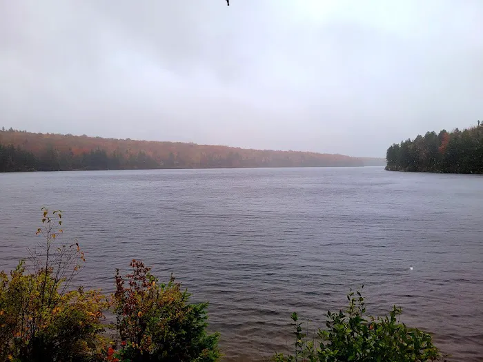Grout Pond Campsites Picture 3