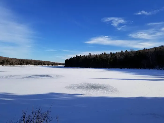 Grout Pond Campsites Picture 6