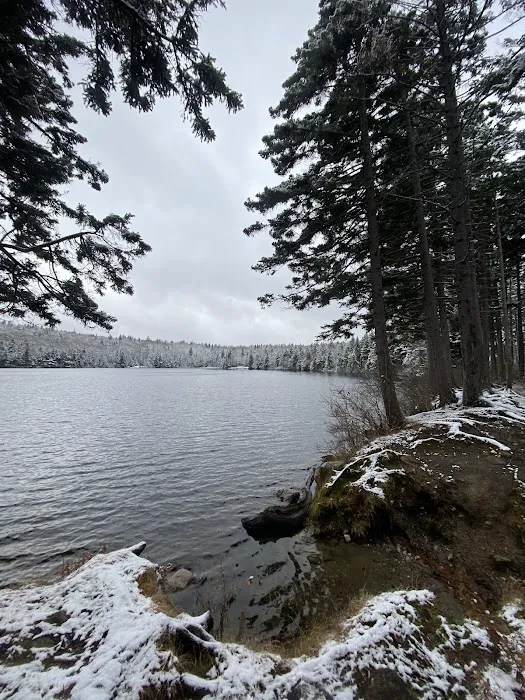 Grout Pond Campsites Picture 4